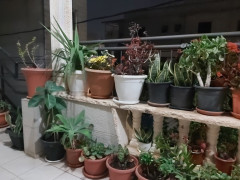 ارتفاع طفيف على  درجات الحرارة، ومع ساعات المساء  تنخفض درجة الحرارة