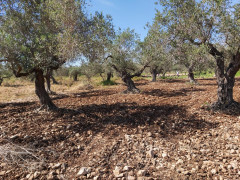 يطرأ إرتفاع طفيف اخر على درجات الحرارة  وييبقى الجوغائما جزئيا