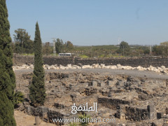 تسود أجواء صيفية حارة نسبياً الى حارة نهاراً،