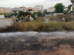 حرائق في الجليل وشارون وقطاع غزة. تم إجلاء المسافرين والمقيمين