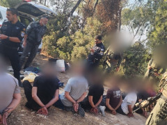 ضبط مقيمين غير شرعيين في مناطق الشّمال