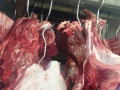 الشرطة  ضبط طن من اللحوم بدون تصريح من الطبيب البيطري
