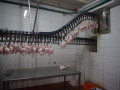ضبط 5 طن من لحوم الدجاج غير معروف المصدر في باقة الغربية