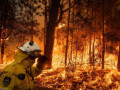 حرائق الغابات الناجمة عن الصواعق في ولاية كاليفورنيا الأمريكية تتصاعد