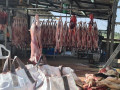 ضبط حوالي 1.5 طن من اللحوم غير صالحة للبيع في عرابة تم تجهيزها لشهر رمضان