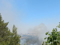 حريق في منطقة احراش بين هار ادار ومفسيرت تسيون.