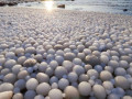 الآلاف من "بيض الثلج" على شاطئ فنلندي