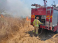 حيفا: اندلاع حريق قرب المحطة المركزية "ليف همفراتس