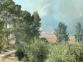 بيت شيمش.حريق كبير في منطقة اشواك مفتوحه والعمل على اخلاء منازل