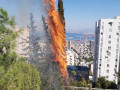 الإطفاء والإنقاذ: إصدار أمر يقضي بحظر اشعال النيران من 08.11.2021 حتى 30.11