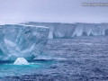 جبل جليدي ينجرف إلى ما وراء مياه القطب الجنوبي بعد أن ظل ثابتا لمدة 3 عقود
