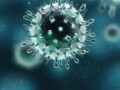 تشخيص 1719 حالة جديدة بفيروس كورونا بالبلاد،
