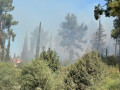 اندلاع حريق في غابة "اشتئول" بمنطقة القدس