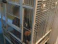 طفل يبلغ من العمر سنة واربعة أشهر مسجون داخل قفص حديدي في مدينة حيفا