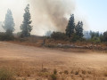 اندلاع حريق كبير قرب غابة نحشونيم بين شارع 6 وشارع 444*
