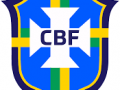 تأهل المنتخب البرازيلي لكرة القدم إلى نصف نهائي بطولة كوبا أمريكا
