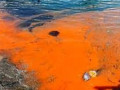 اليابان : 1.2 مليون طن من مياه فوكوشيما الملوثة تلقى إلى البحر.