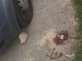 حادثة عنف ببلدة أبو غوش في منطقة القدس ادى الى اصابة شاب اصابة خطيرة.