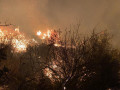 أم الفحم: اندلاع حريق في منطقة حرشية الليلة الماضية*
