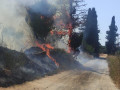 كفار يونا : حريق كبير شب في منطقة اعشاب مفتوحه