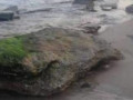 ظاهرة نادرة: صخور كبيرة تغزو شواطئ رفح وخان يونس