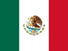 المكسيك: 11 قتيلاً في إطلاق نار جنوب البلاد